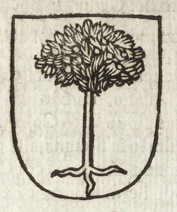 An illustration from Cronologia delle famiglie nobili di Bologna, con le loro insegne, e nel fine i cimieri : centuria prima, con vn breue discorso della medesima città, 1670, leaf 313