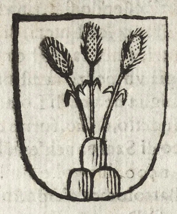 An illustration from Cronologia delle famiglie nobili di Bologna, con le loro insegne, e nel fine i cimieri : centuria prima, con vn breue discorso della medesima città, 1670, leaf 351