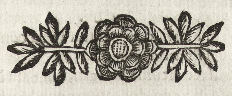 An illustration from Cronologia delle famiglie nobili di Bologna, con le loro insegne, e nel fine i cimieri : centuria prima, con vn breue discorso della medesima città, 1670, leaf 552