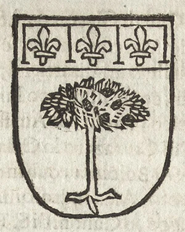 An illustration from Cronologia delle famiglie nobili di Bologna, con le loro insegne, e nel fine i cimieri : centuria prima, con vn breue discorso della medesima città, 1670, leaf 639