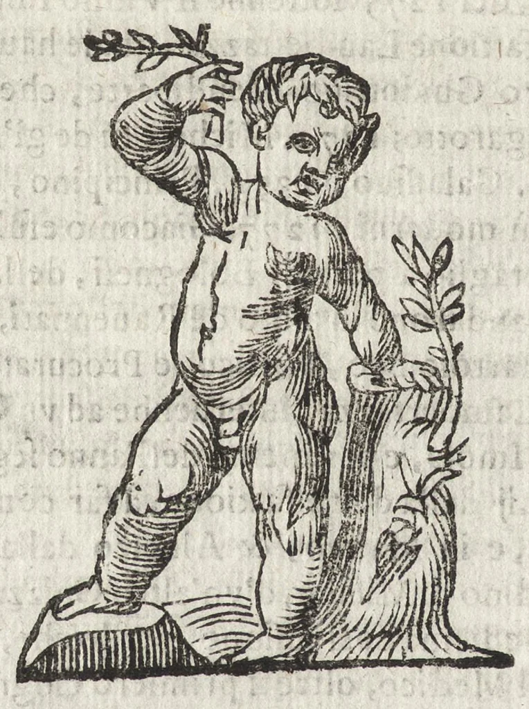 An illustration from Cronologia delle famiglie nobili di Bologna, con le loro insegne, e nel fine i cimieri : centuria prima, con vn breue discorso della medesima città, 1670, leaf 703