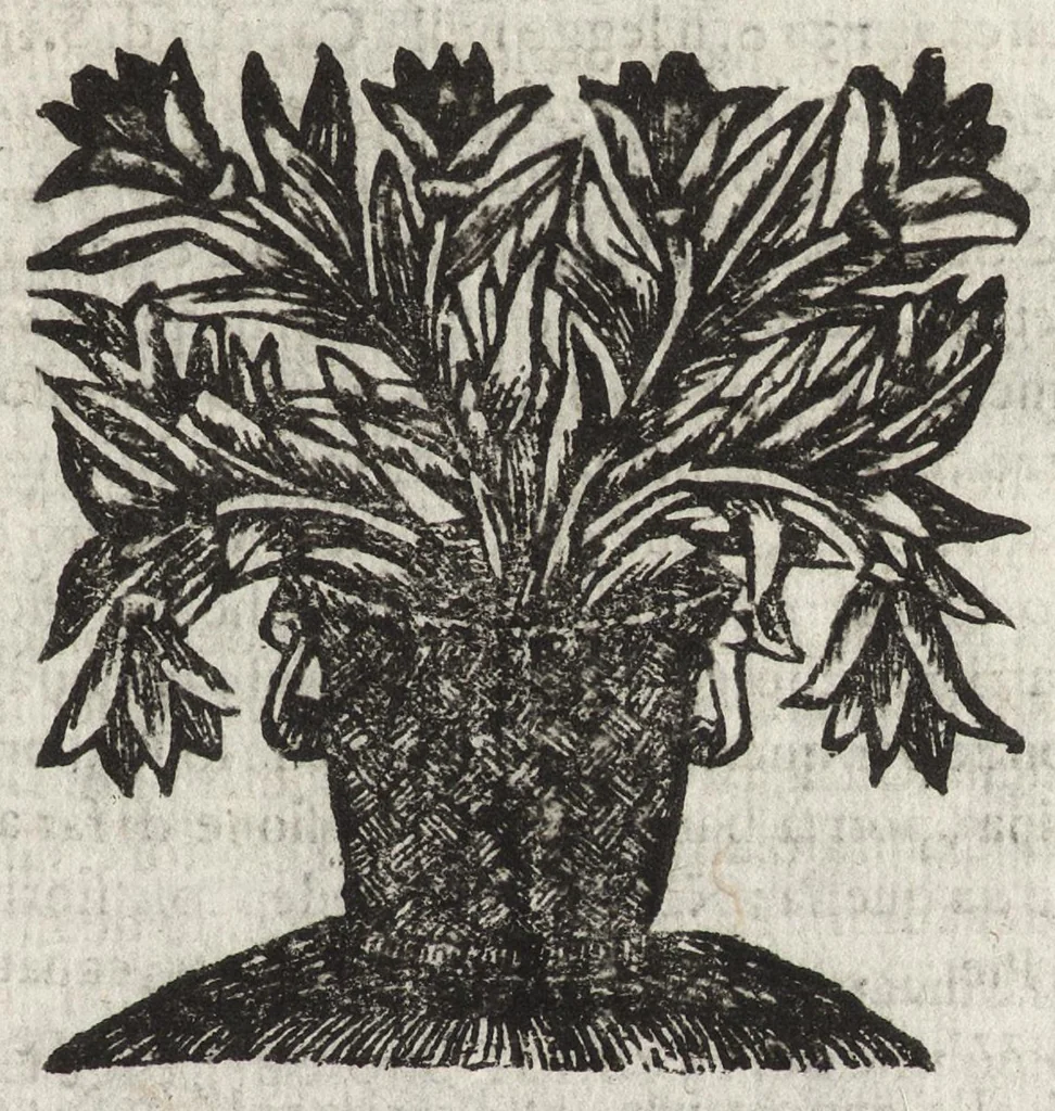 An illustration from Cronologia delle famiglie nobili di Bologna, con le loro insegne, e nel fine i cimieri : centuria prima, con vn breue discorso della medesima città, 1670, leaf 710