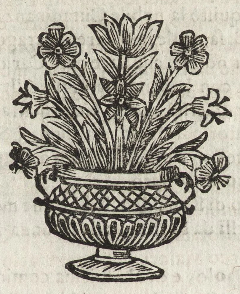 An illustration from Cronologia delle famiglie nobili di Bologna, con le loro insegne, e nel fine i cimieri : centuria prima, con vn breue discorso della medesima città, 1670, leaf 714