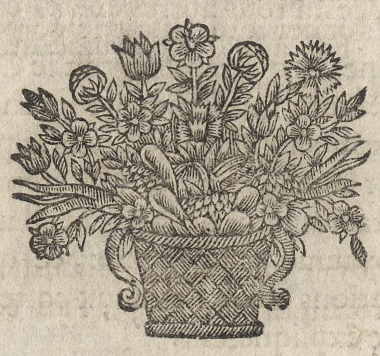 An illustration from Les reioüissances de la paix, auec vn recueil de diuerses pieces sur ce sujet, 1660, leaf 133