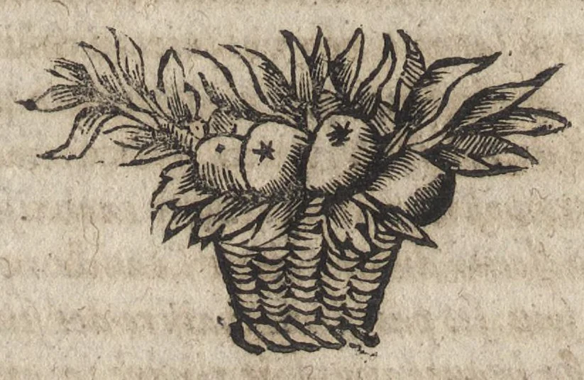 An illustration from Les reioüissances de la paix, auec vn recueil de diuerses pieces sur ce sujet, 1660, leaf 151