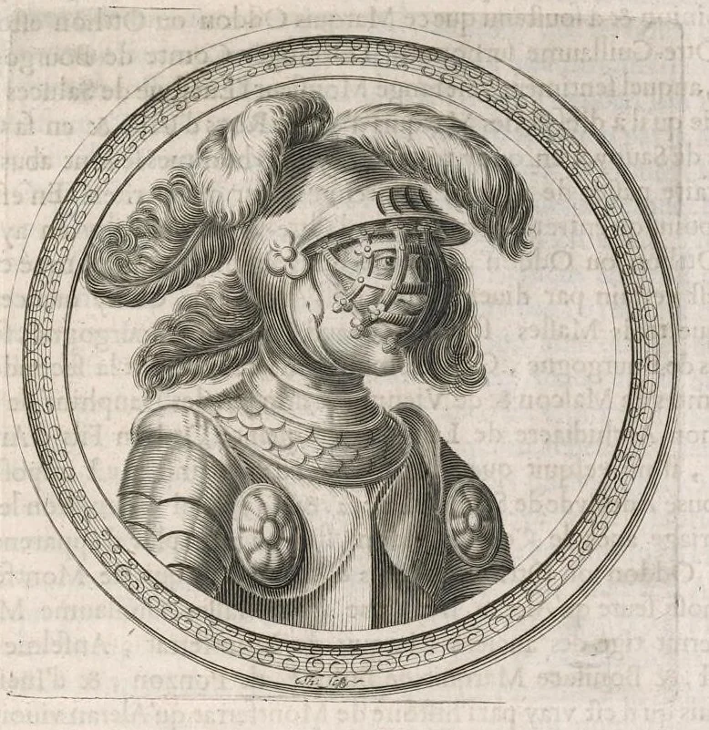 An illustration from Histoire genealogique de la royale maison de Sauoye : iustifiée par titres, fondations de monasteres, manuscripts, anciens monuments, histoires & autres preuues autentiques : enrichie de plusieurs portraits, seaux, monnoyes, sepultures & armoiries, 1660, leaf 238