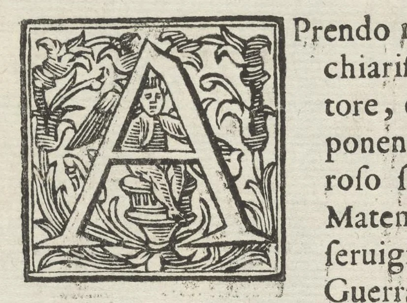 An illustration from Prospettiua di fortificationi : nella quale ogni intendente dell'arte militare speditamente vedrà ciò, che altroue del fabricare, diffendere, & espugnar fortezze si scorge, 1660, leaf 11