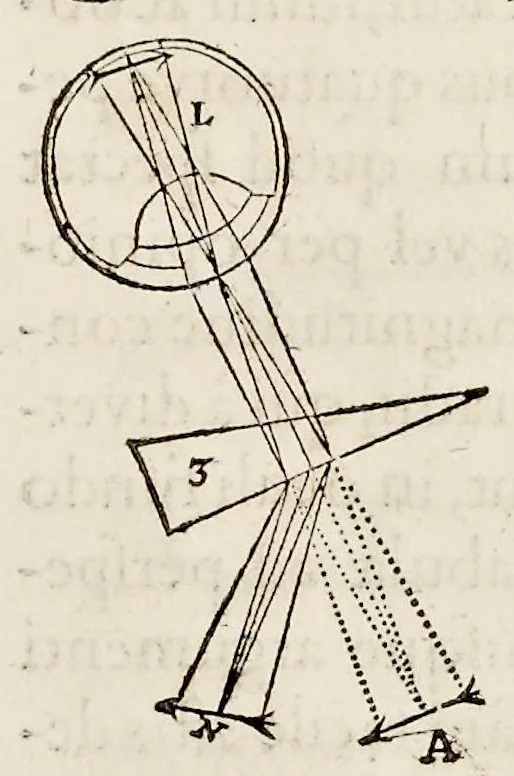 An illustration from De homine, 1662, leaf 104