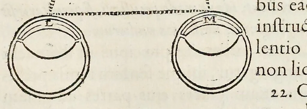 An illustration from De homine, 1662, leaf 106