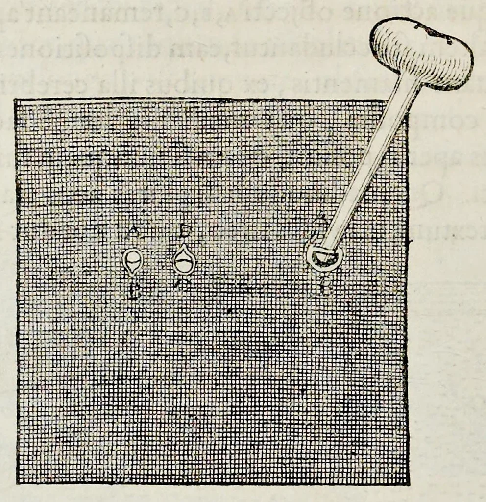 An illustration from De homine, 1662, leaf 127