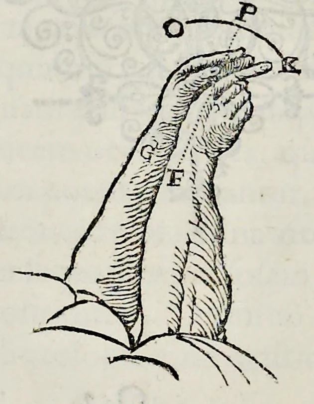 An illustration from De homine, 1662, leaf 183