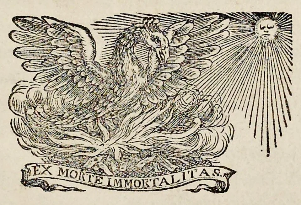 An illustration from De homine, 1662, leaf 4