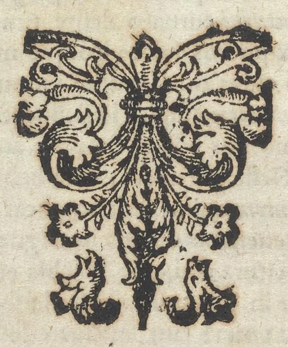 An illustration from Iacobi Balde è Societate Jesu Urania victrix, 1663, leaf 113