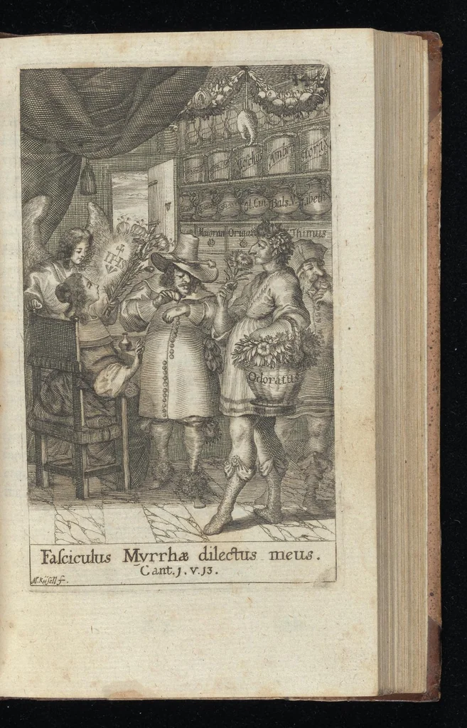 An illustration from Iacobi Balde è Societate Jesu Urania victrix, 1663, leaf 168