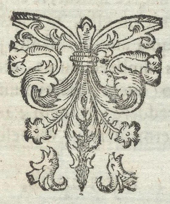 An illustration from Iacobi Balde è Societate Jesu Urania victrix, 1663, leaf 202