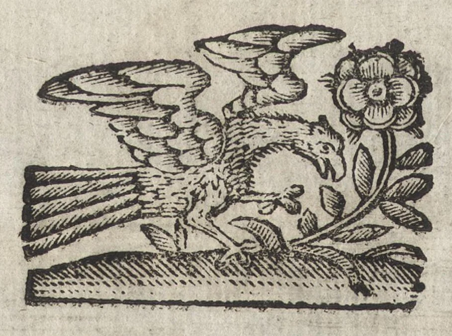 An illustration from Li trastulli guerrieri, 1668, leaf 127