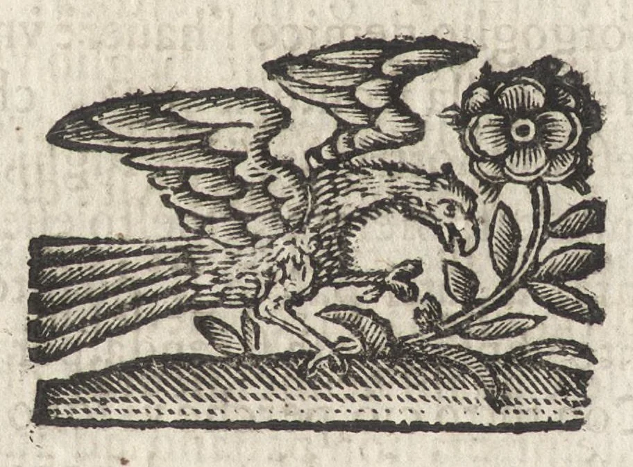 An illustration from Li trastulli guerrieri, 1668, leaf 21