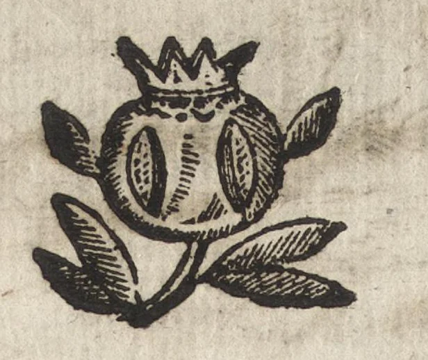 An illustration from Li trastulli guerrieri, 1668, leaf 69
