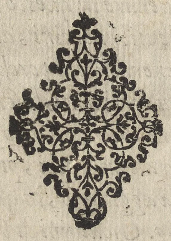 An illustration from La storia di Raugia : scritta nuouamente in tre libri, 1595, leaf 141