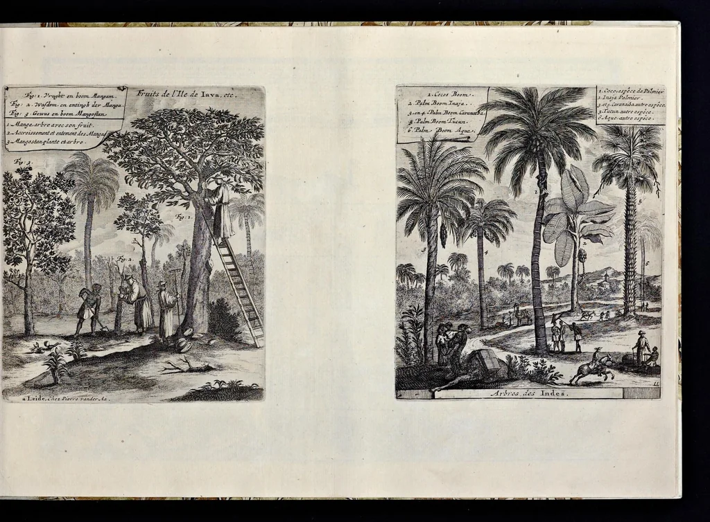 An illustration from Les Indes Orientales et Occidentales, et autres lieux : représenté en très-belles figures, qui montrent au naturel les peuples, moeurs, religions, fêtes, sacrifices, mosquées, idoles, richesses, ceremonies,festins, tribunaux, supplices et esclavages ..., 1685, leaf 36
