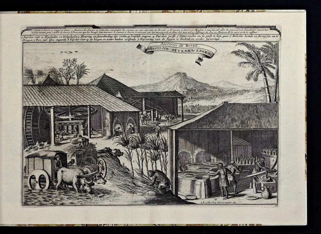An illustration from Les Indes Orientales et Occidentales, et autres lieux : représenté en très-belles figures, qui montrent au naturel les peuples, moeurs, religions, fêtes, sacrifices, mosquées, idoles, richesses, ceremonies,festins, tribunaux, supplices et esclavages ..., 1685, leaf 88
