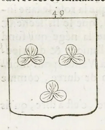 An illustration from La science heroique : traitant de la noblesse et de l'origine des armes, de leurs blasons & symboles : des timbres, bourlets, couronnes, cimiers, lambrequins, supports, tenans, & autres ornamens de l'ecu : de la devise & du cry de guerre, de l'ecu pendant, des pas & emprises des anciens chevaliers, & des formes differentes de leurs tombeaux : et enfin des marques exterieures de l'ecu de nos rois, des reines, enfans de France, & des officiers de la couronne, & de la maison du roy, 1669, leaf 255