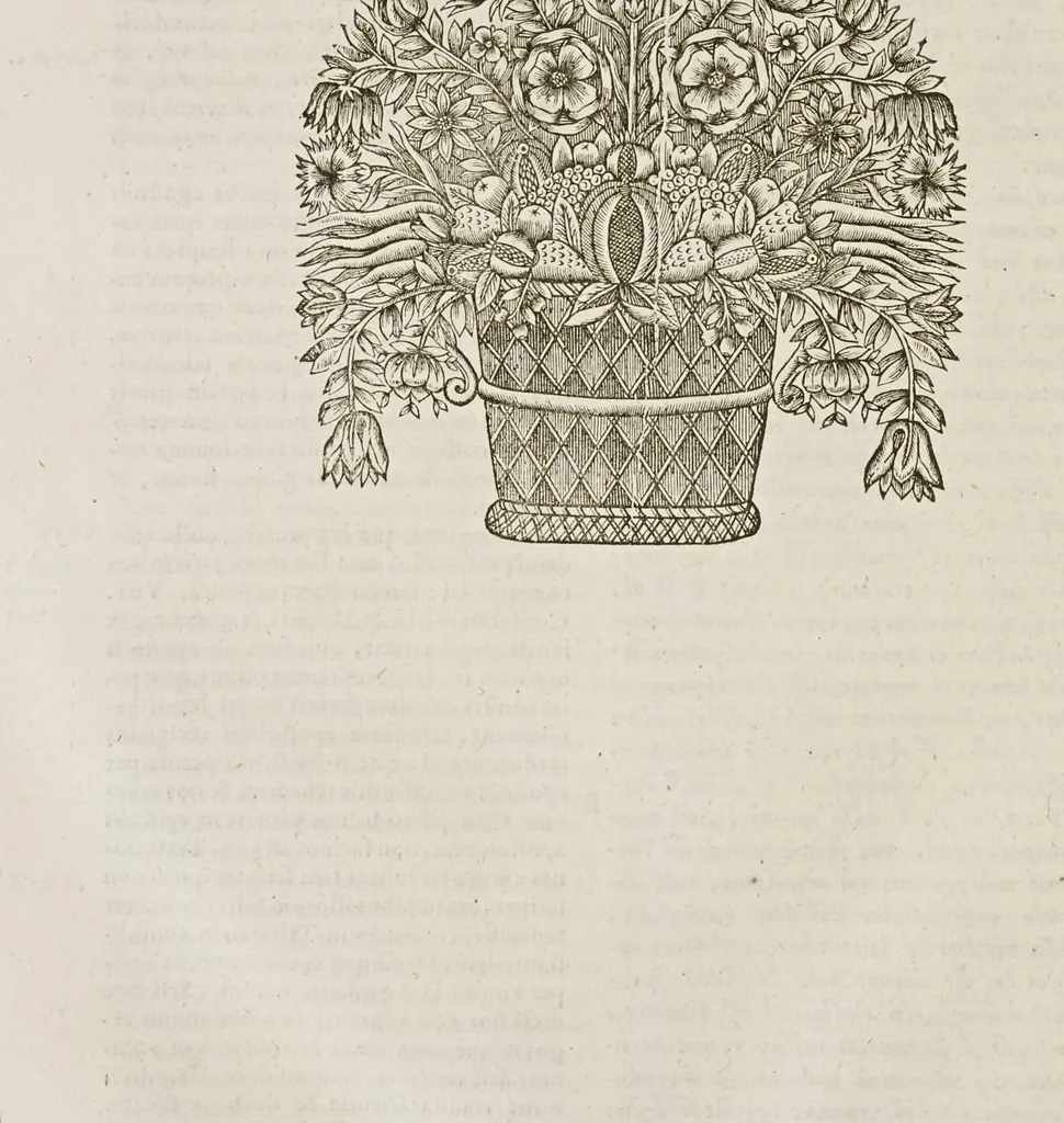 An illustration from Sacrosancta concilia ad regiam editionem exacta quae nunc quarta parte prodit auctior, 1671, leaf 423