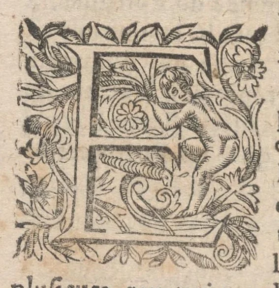 An illustration from Les curiositez de l'vne et l'autre Rome, I.[-2.] partie du I.[-2.] livre. Ou, traité des plus augustes temples & autres lieux saincts de Rome chrestienne. En laquelle il est traité des sept eglises principales de Rome & de plusieurs autres qui en sont proche. Diuisé en deux liures, & enrichy de plusieurs figures en taille douce, 1672, leaf 639