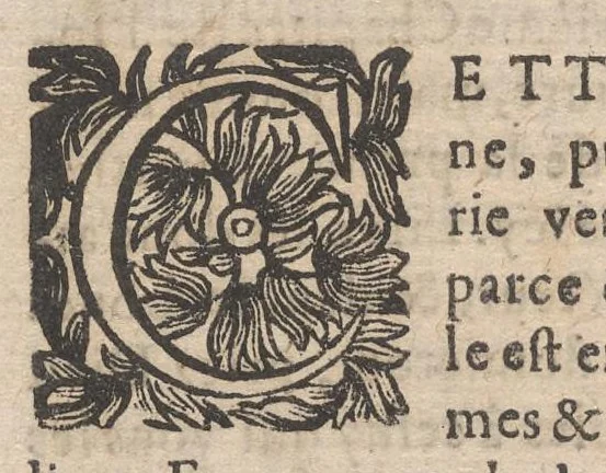 An illustration from Les curiositez de l'vne et l'autre Rome, I.[-2.] partie du I.[-2.] livre. Ou, traité des plus augustes temples & autres lieux saincts de Rome chrestienne. En laquelle il est traité des sept eglises principales de Rome & de plusieurs autres qui en sont proche. Diuisé en deux liures, & enrichy de plusieurs figures en taille douce, 1672, leaf 801