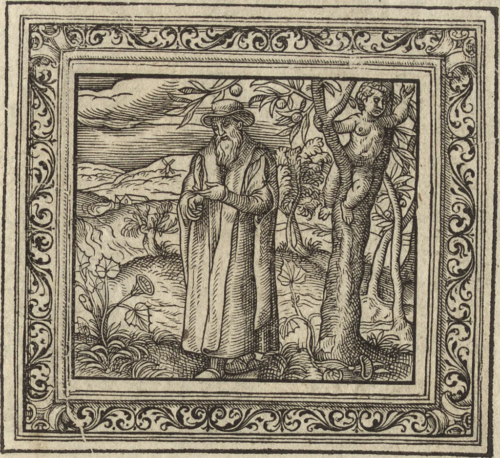 An illustration from Emblemata cvm aliqvot nvmmis antiqvi operis, 1564, leaf 124