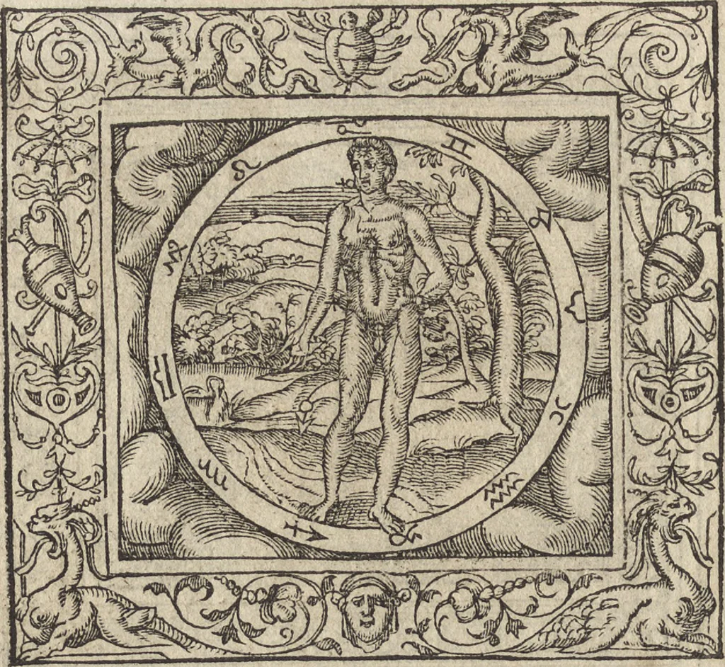 An illustration from Emblemata cvm aliqvot nvmmis antiqvi operis, 1564, leaf 125
