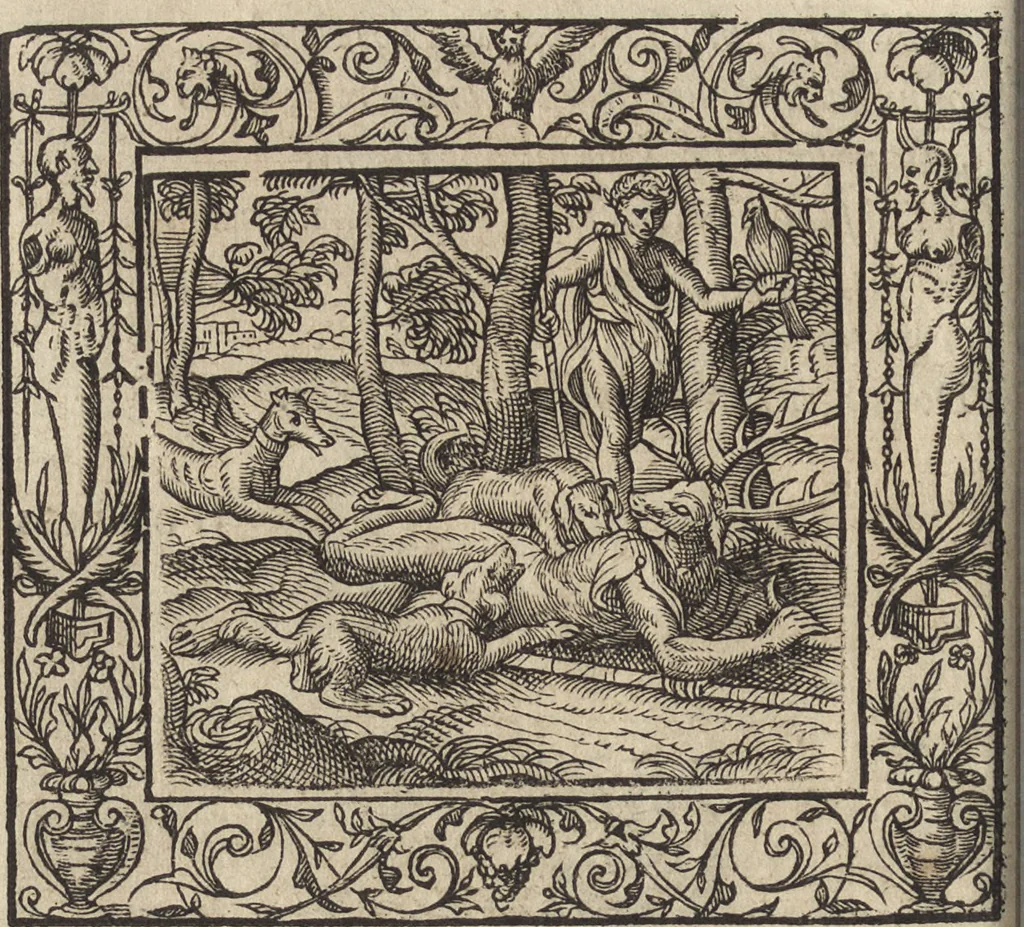 An illustration from Emblemata cvm aliqvot nvmmis antiqvi operis, 1564, leaf 135