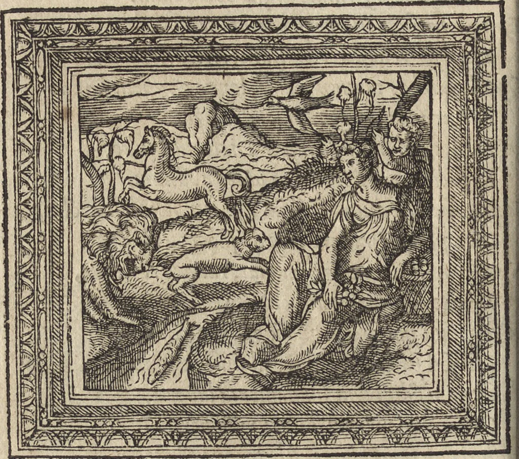 An illustration from Emblemata cvm aliqvot nvmmis antiqvi operis, 1564, leaf 151