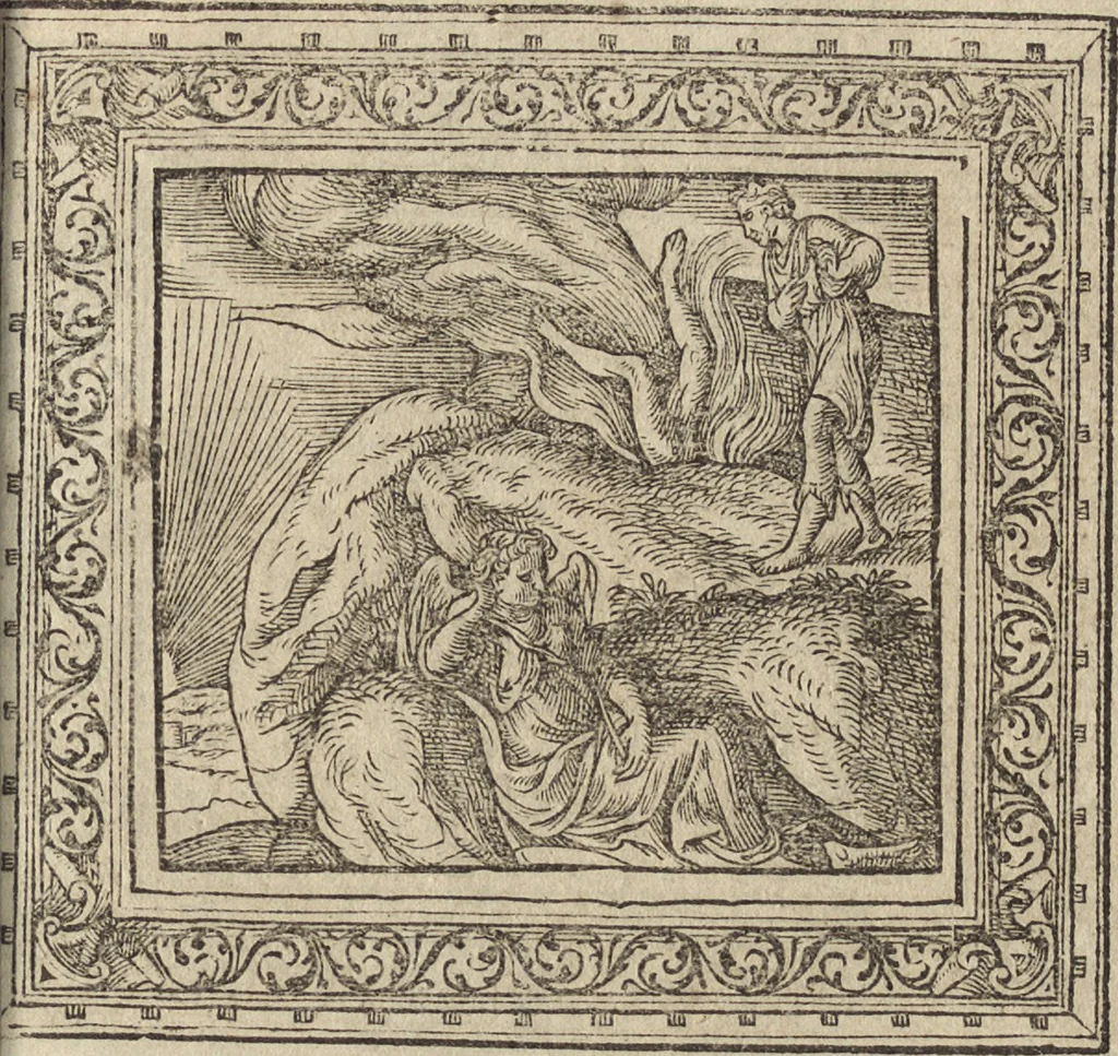 An illustration from Emblemata cvm aliqvot nvmmis antiqvi operis, 1564, leaf 166