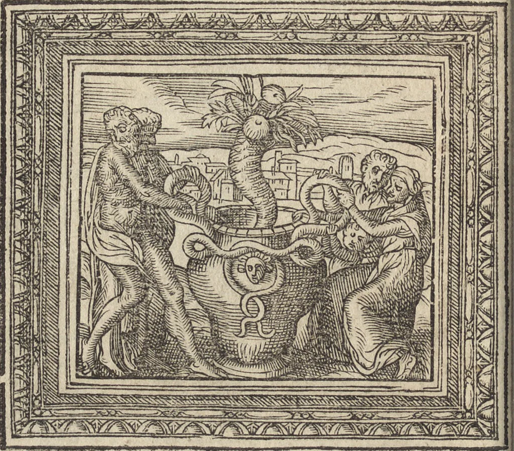 An illustration from Emblemata cvm aliqvot nvmmis antiqvi operis, 1564, leaf 177