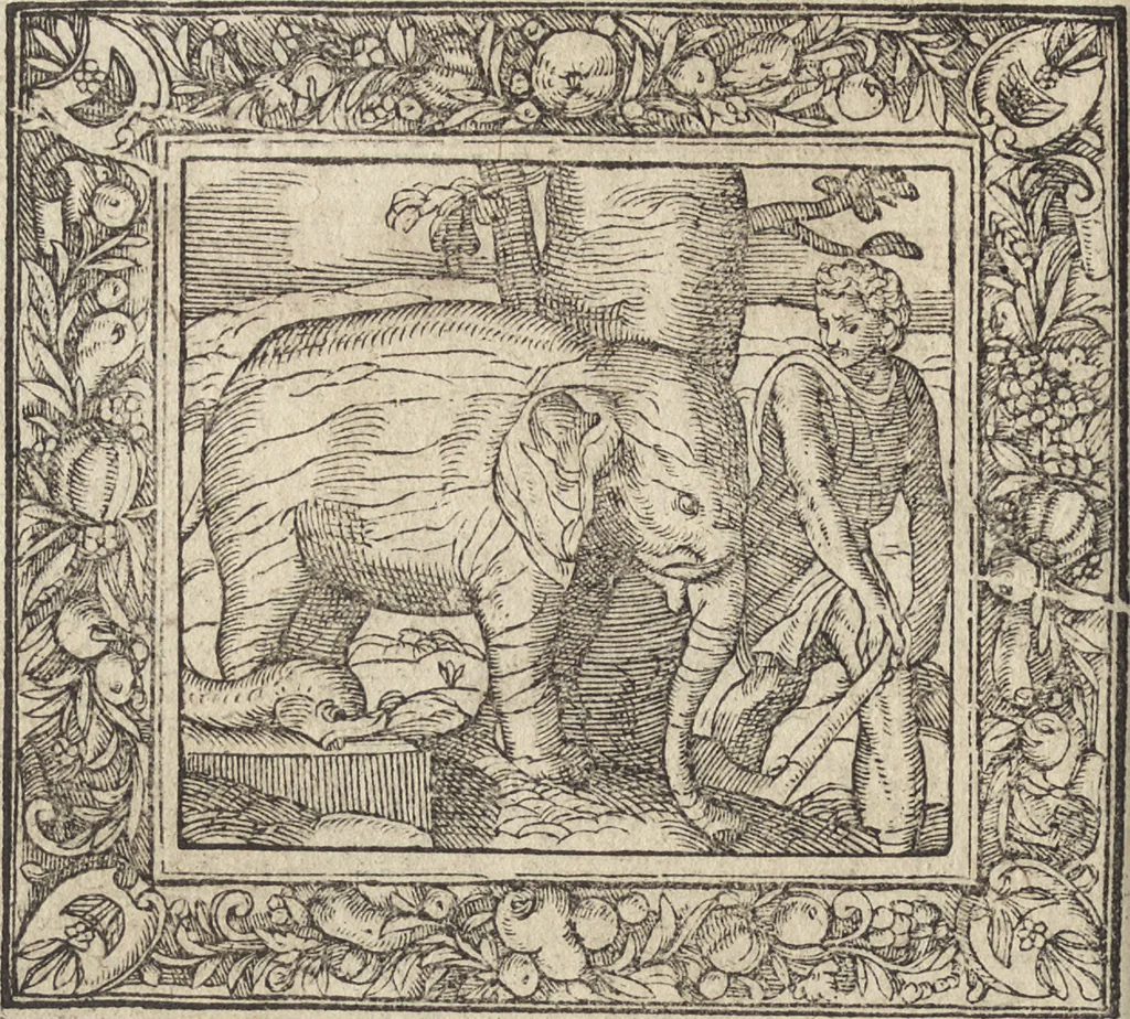 An illustration from Emblemata cvm aliqvot nvmmis antiqvi operis, 1564, leaf 191