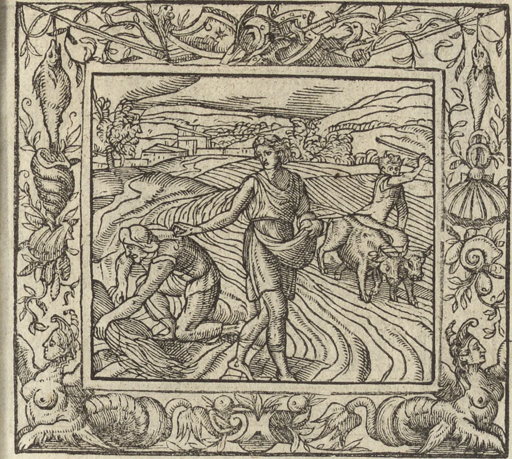 An illustration from Emblemata cvm aliqvot nvmmis antiqvi operis, 1564, leaf 206