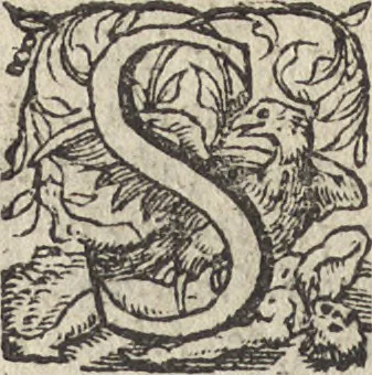 An illustration from Emblemata cvm aliqvot nvmmis antiqvi operis, 1564, leaf 239