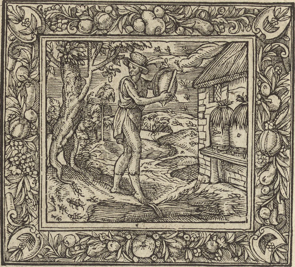 An illustration from Emblemata cvm aliqvot nvmmis antiqvi operis, 1564, leaf 31