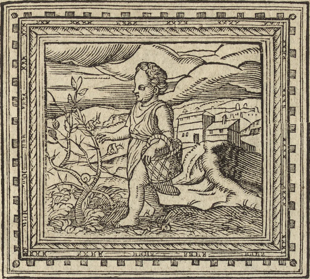 An illustration from Emblemata cvm aliqvot nvmmis antiqvi operis, 1564, leaf 44