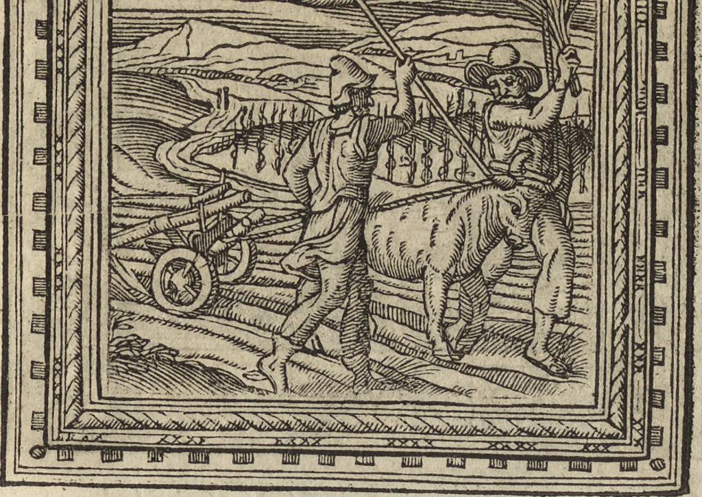 An illustration from Emblemata cvm aliqvot nvmmis antiqvi operis, 1564, leaf 56