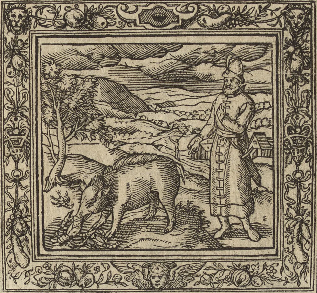 An illustration from Emblemata cvm aliqvot nvmmis antiqvi operis, 1564, leaf 68