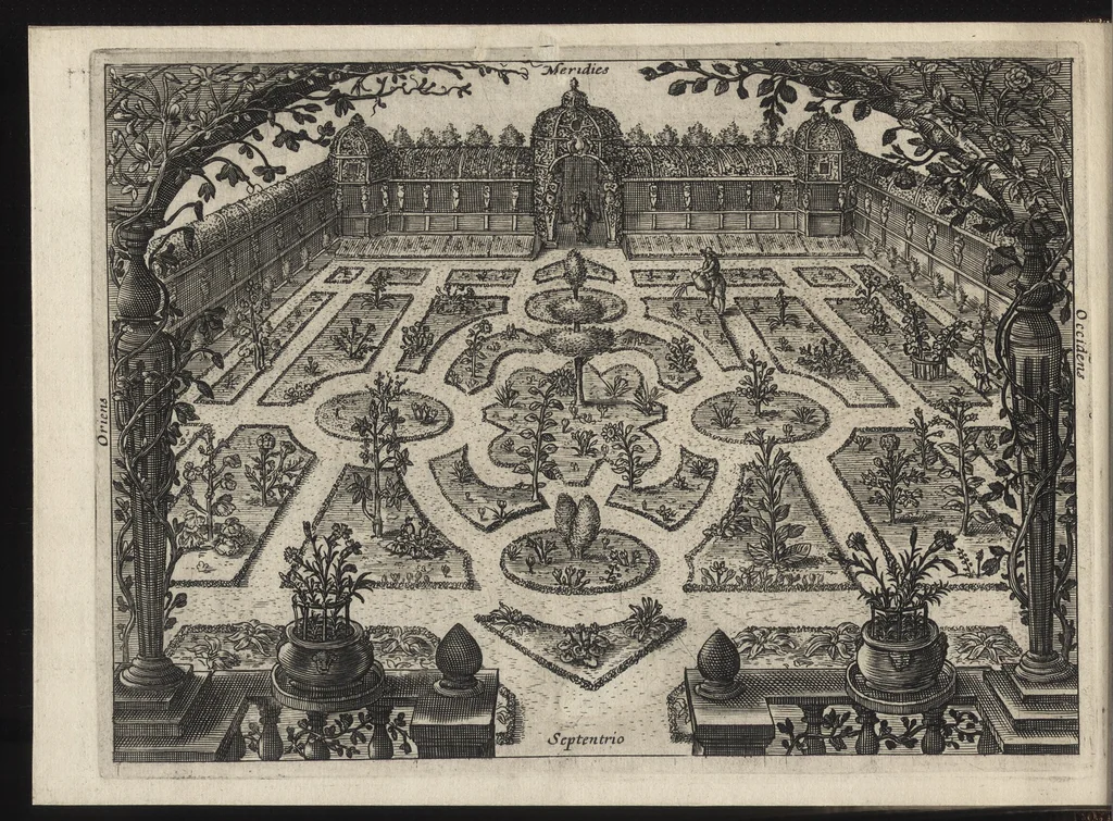 An illustration from Iardin de fleurs : contenant en soy les plus rares et plus excellentes fleurs que pour le present les amateurs dicelles tiennent en grande estime et dignite : divisees selon les quatre saisons de l'an, 1617, leaf 153