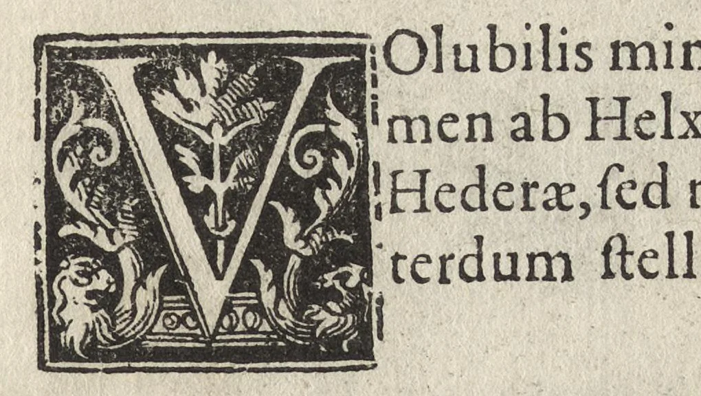 An illustration from Iardin de fleurs : contenant en soy les plus rares et plus excellentes fleurs que pour le present les amateurs dicelles tiennent en grande estime et dignite : divisees selon les quatre saisons de l'an, 1617, leaf 362