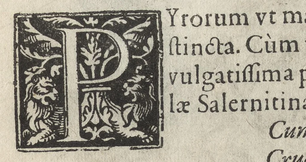 An illustration from Iardin de fleurs : contenant en soy les plus rares et plus excellentes fleurs que pour le present les amateurs dicelles tiennent en grande estime et dignite : divisees selon les quatre saisons de l'an, 1617, leaf 386