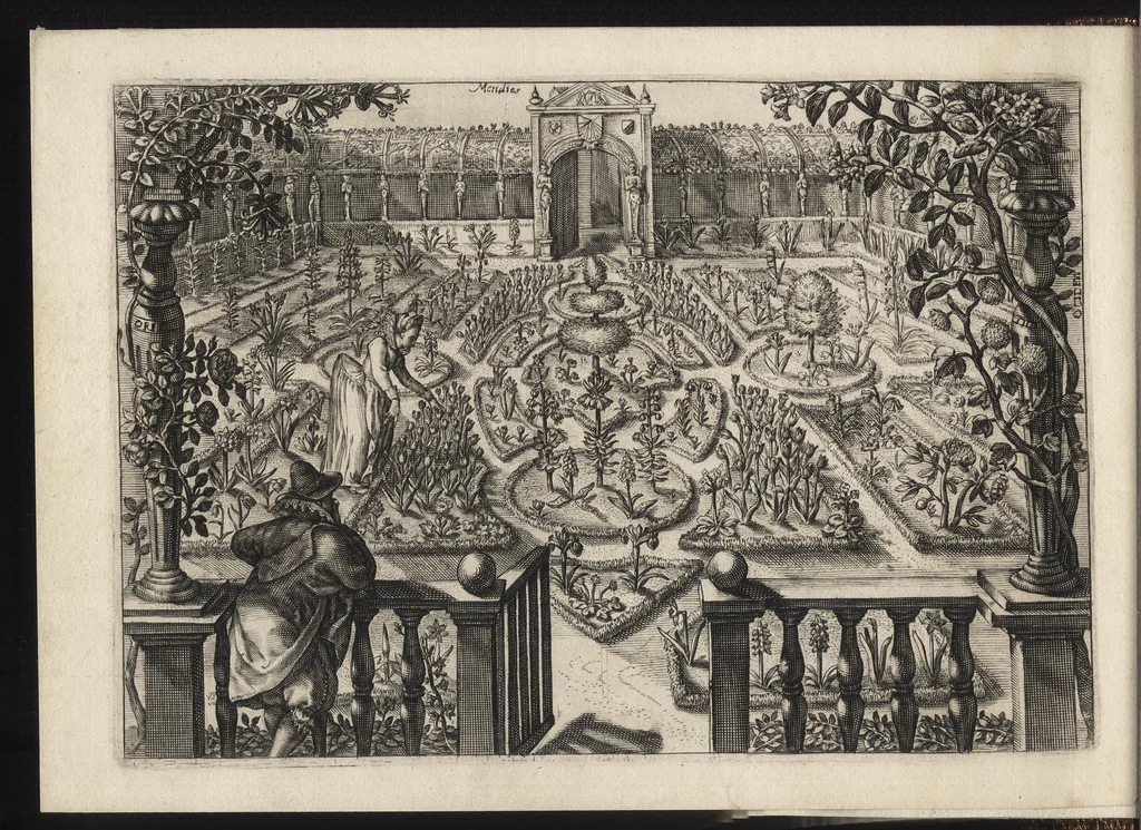 An illustration from Iardin de fleurs : contenant en soy les plus rares et plus excellentes fleurs que pour le present les amateurs dicelles tiennent en grande estime et dignite : divisees selon les quatre saisons de l'an, 1617, leaf 41