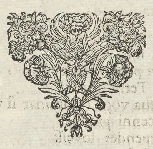 An illustration from Il pomo d'oro : festa teatrale rappresentata in Vienna, per l'avgvstissime nozze delle Sacre Cesaree Reali Maestà di Leopoldo, e Margherita, 1668, leaf 149
