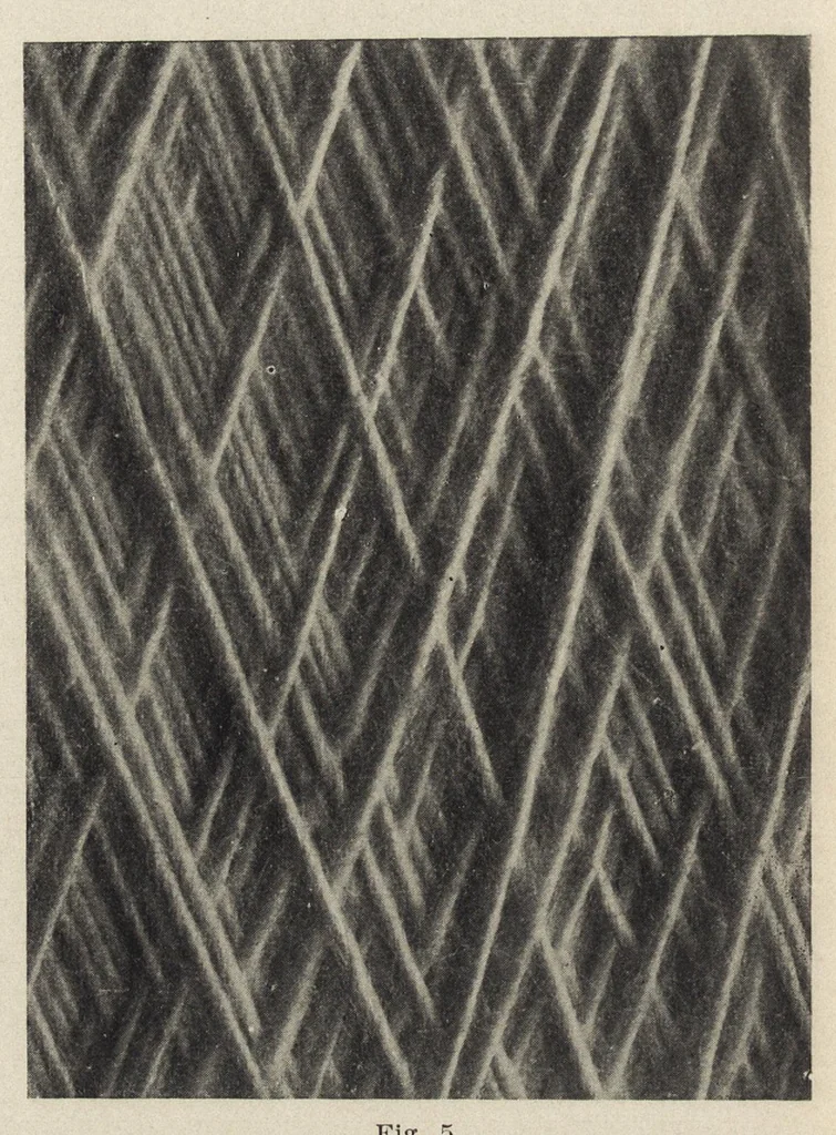 An illustration from Recent improvements in textile machinery, 1898, leaf 125