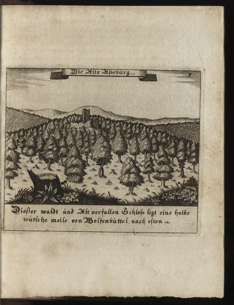 An illustration from Beschreibung des ganzen Fürstlich Braunschw. Gartens zu Hessem : mit seinen künstliche[n] Abteihlungen, Qvartiren, Gehegken, Gebeüden, LauberHütten, WasserKünsten, Brunnen und ausgehawenen Bildern : auch ordentliche Specification aller derer Simplicium und Gewechse, so von A[nn]o 1607 bis in dass 1651. Jahr, darinnen ... gezeuget worden : worbeij ein nohtwendiger Unterricht, wie ein feiner Lust-, Obst- und Küchengarte anzulegen ... : uber das eine gute Anleitung wie man allerleij sonderliche GärtenGewächse in der Küchen vielfältig nutzen solle : und was für feine Simplicia in den benachbarten Wäldern, Bergen, Gründen, Brüchen und auf den Hügeln in der See zu finden, und auf zu heben seÿn, 1653, leaf 162