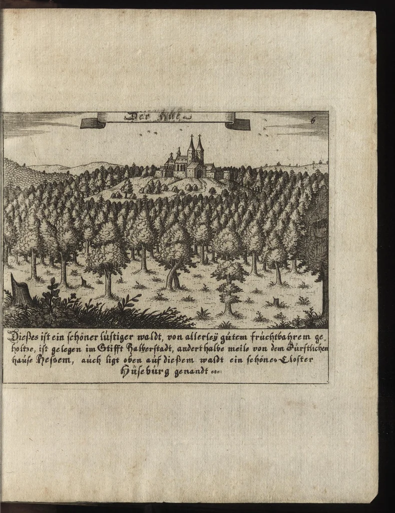 An illustration from Beschreibung des ganzen Fürstlich Braunschw. Gartens zu Hessem : mit seinen künstliche[n] Abteihlungen, Qvartiren, Gehegken, Gebeüden, LauberHütten, WasserKünsten, Brunnen und ausgehawenen Bildern : auch ordentliche Specification aller derer Simplicium und Gewechse, so von A[nn]o 1607 bis in dass 1651. Jahr, darinnen ... gezeuget worden : worbeij ein nohtwendiger Unterricht, wie ein feiner Lust-, Obst- und Küchengarte anzulegen ... : uber das eine gute Anleitung wie man allerleij sonderliche GärtenGewächse in der Küchen vielfältig nutzen solle : und was für feine Simplicia in den benachbarten Wäldern, Bergen, Gründen, Brüchen und auf den Hügeln in der See zu finden, und auf zu heben seÿn, 1653, leaf 166
